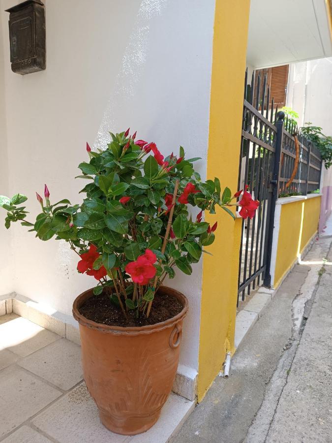 Stefanos Family Apartment Lefkáda Esterno foto
